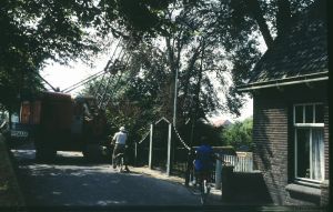 10504.jpg