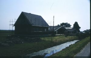 10924.jpg