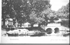 Baene brug (ballenbrug)
