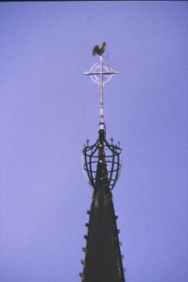 019007.jpg